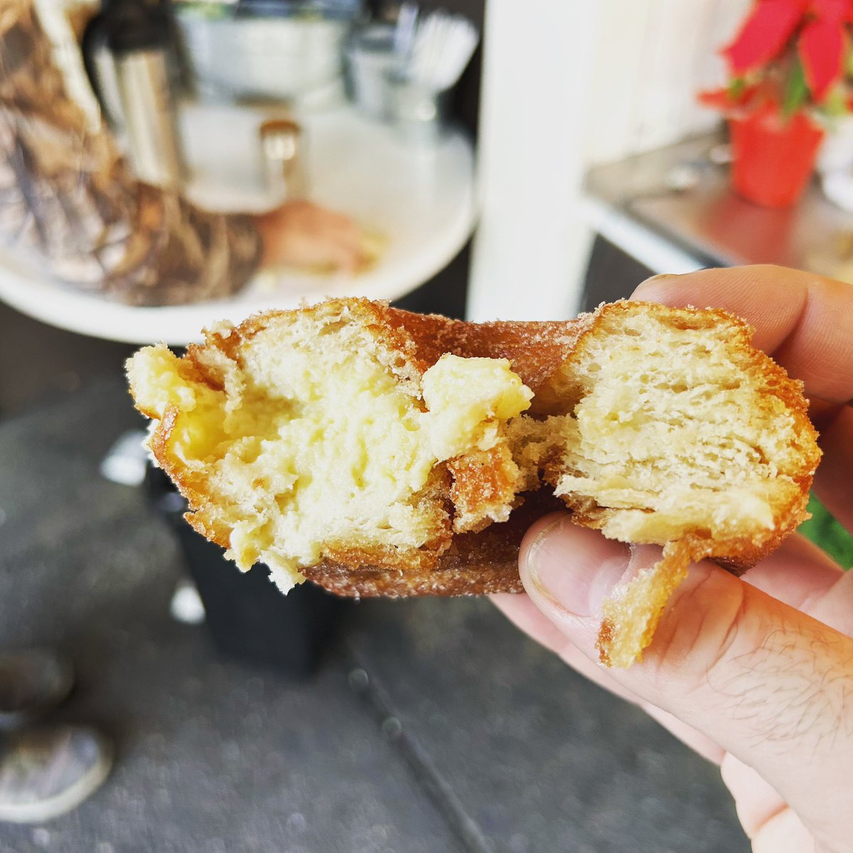 ReCreateOut's tweet photo. Glad I had a van last week in #marincounty at the tule elk reserve. Gorgeous and comfortable - stay tuned for full trip itinerary and a review of these criminally delicious crème filled fried croissants “Crodoughs” from San Rafael #vanlife #campervan #camping https://t.co/gCGtcAIHD3