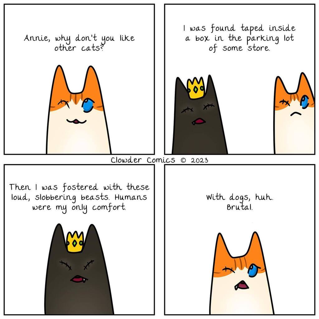 ClowderComics's tweet image. Annie has warmed up to the others since they joined us, but she will always be the least social with the rest of the Clowder.  #specialneedscats #comics #webcomics #webtoon #specialneeds #blindcat #comic #blindcats #blindcatsofinstagram #oneeyewednesday … instagr.am/p/Cm-Itw7uqbg/