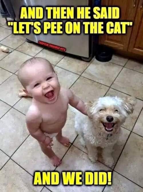 WeberDarlene's tweet image. 