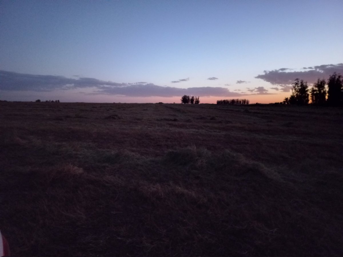 Germinar tweet media