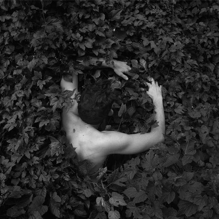 "Todos llevamos dentro nuestro propio infierno, una posibilidad de perdición que es sólo nuestra, un dibujo personal de la catástrofe".
"La hija del caníbal", Rosa Montero
📷Ben Zank