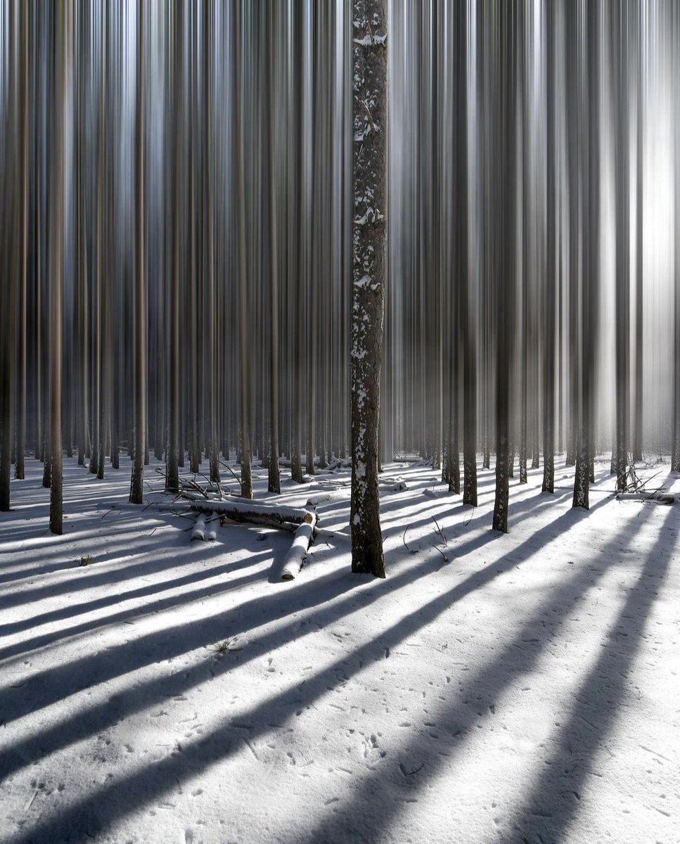 One of my favourite images. It took numerous visits to get the fresh snow, sunlight and shadows all at once. Persistence pays off.