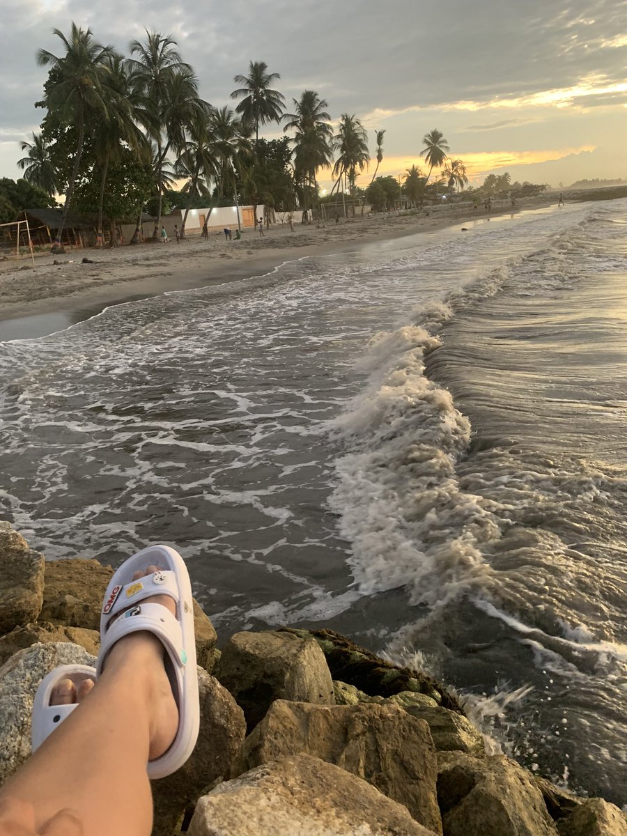 Danielaraujo tweet media