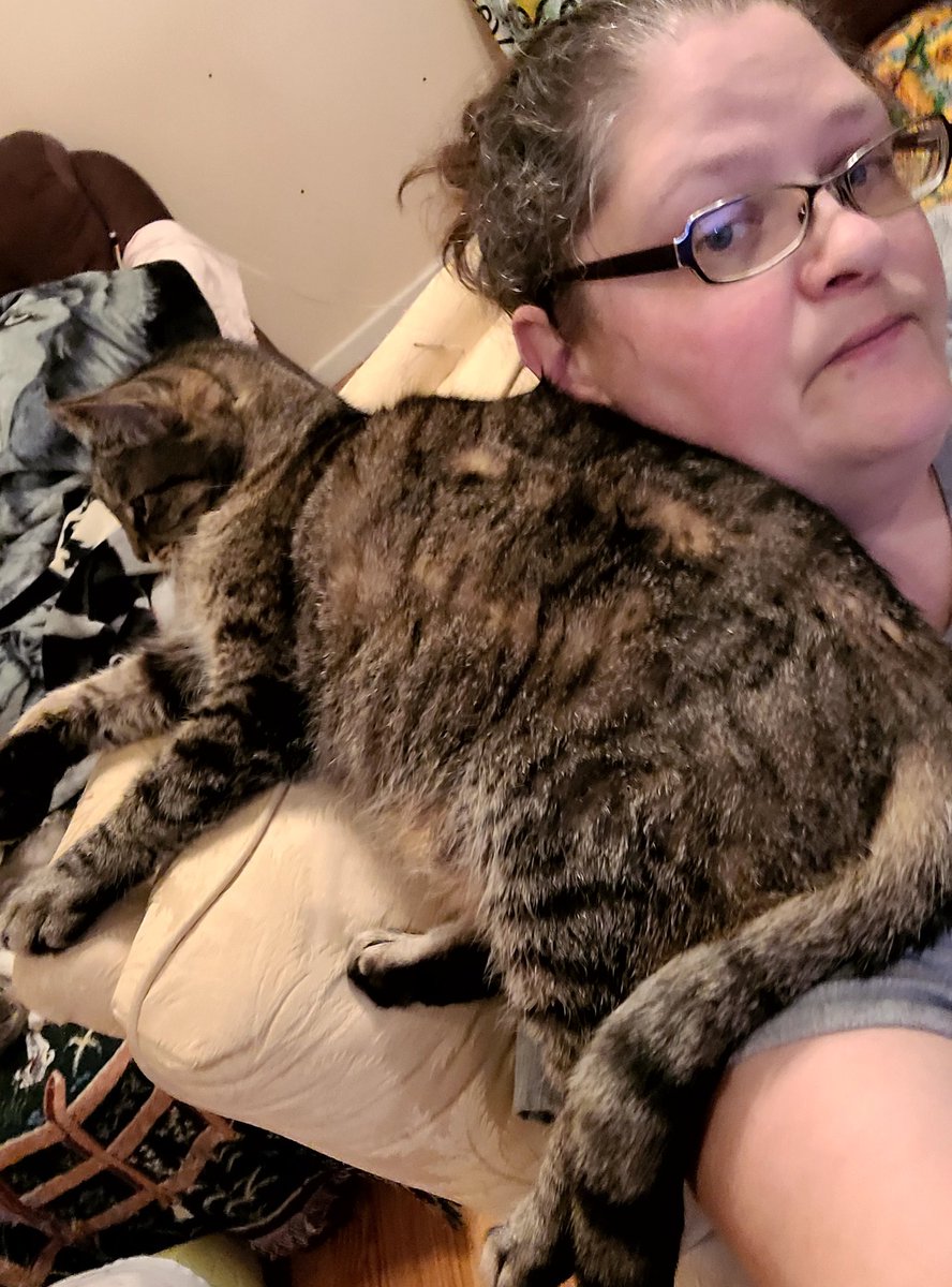 lynnslagle42's tweet photo. It feels like he weighs 100lbs 😶 sitting there. Thor is keeping me company. He is a sill boy who wants moms attention all to himself right now. #thorpillow #seniorsarethebest #showingmomaffection #heavythorbutt #imsweating #ifimovehefalls #thorinoakinshield #oldguyonmyshoulder https://t.co/3705ISMh7Q