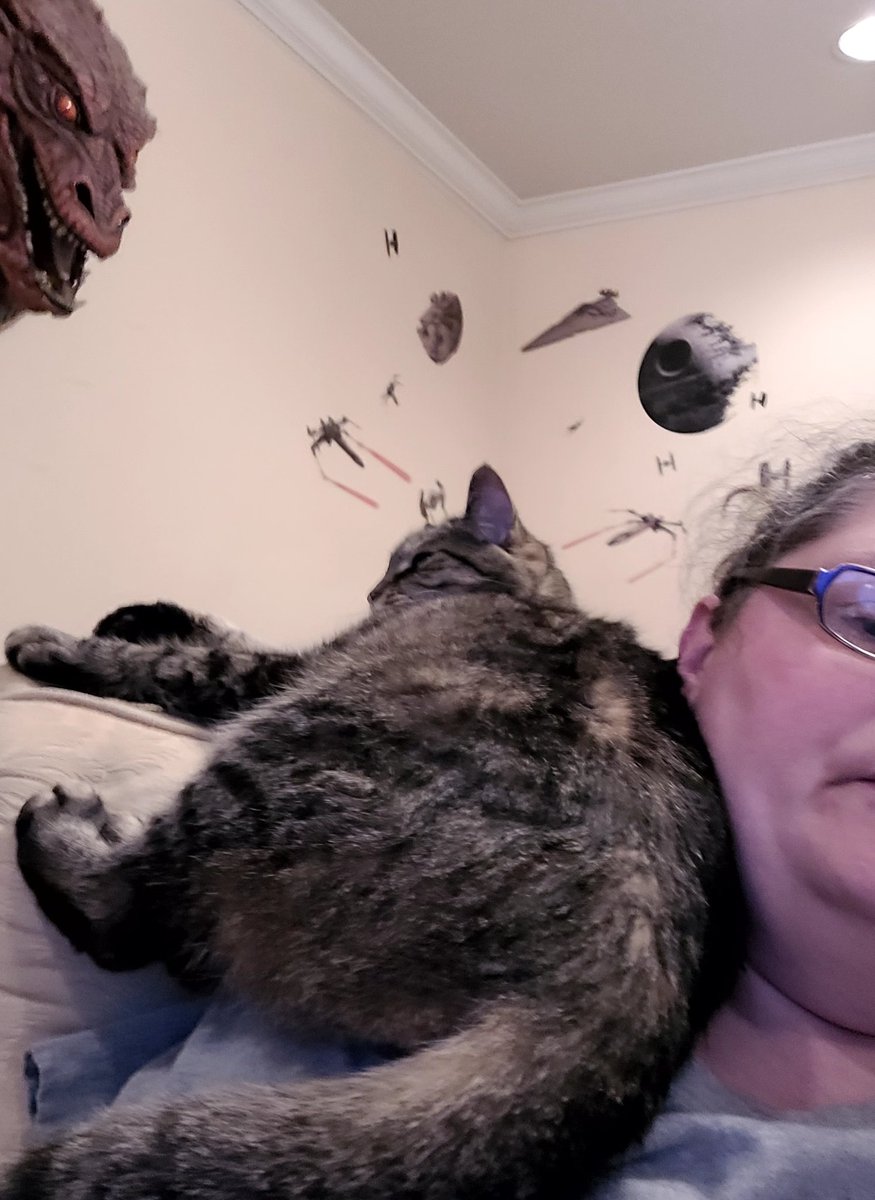 lynnslagle42's tweet photo. It feels like he weighs 100lbs 😶 sitting there. Thor is keeping me company. He is a sill boy who wants moms attention all to himself right now. #thorpillow #seniorsarethebest #showingmomaffection #heavythorbutt #imsweating #ifimovehefalls #thorinoakinshield #oldguyonmyshoulder https://t.co/3705ISMh7Q