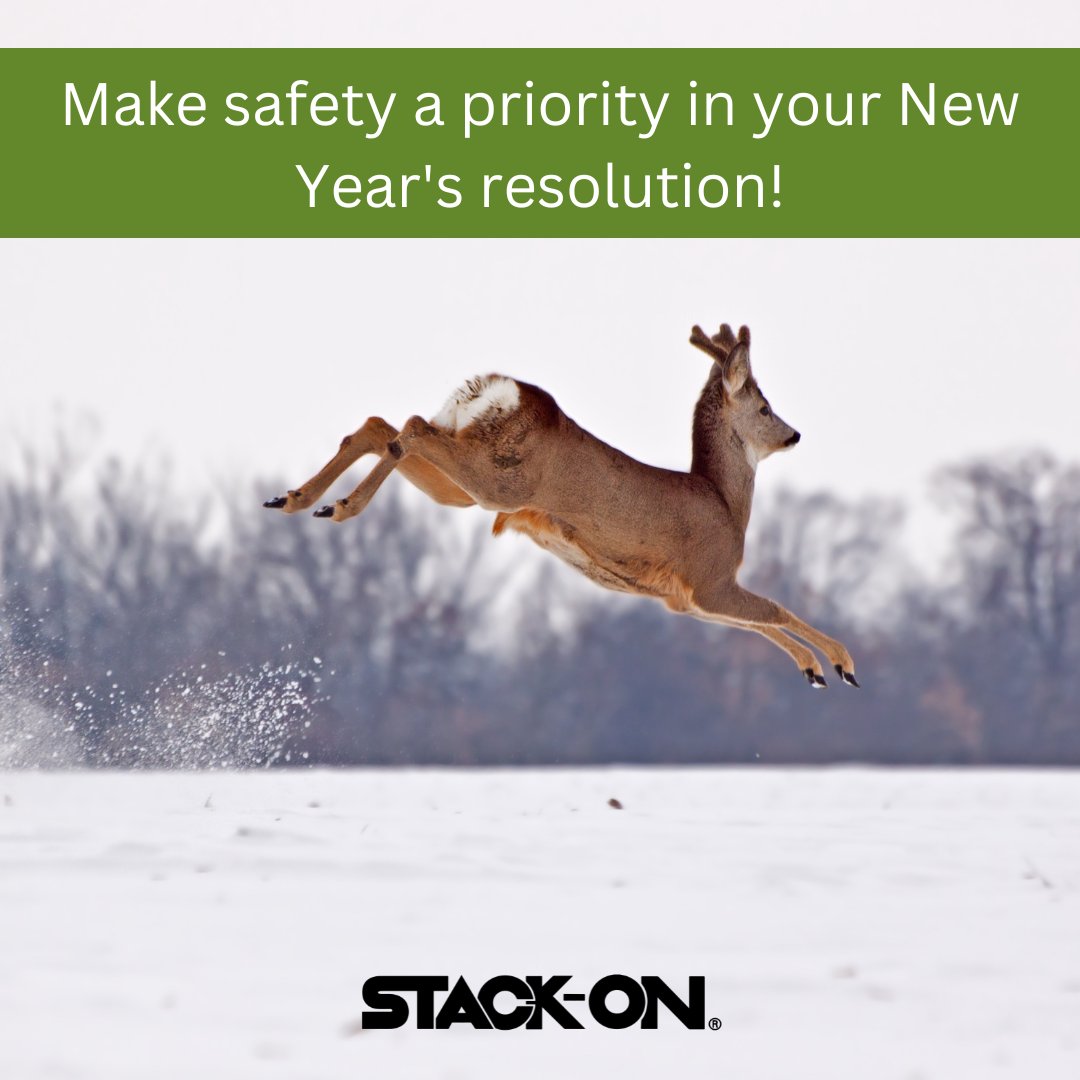 StackOnProducts's tweet photo. When striving to set any goal for the year ahead, few considerations are of as much importance as putting safety first. The reality is, accidents can and do happen yearly. Keep firearms stored safely and keep them out of the wrong hands. https://t.co/2n1S64sCyh https://t.co/2i73N4A6p5