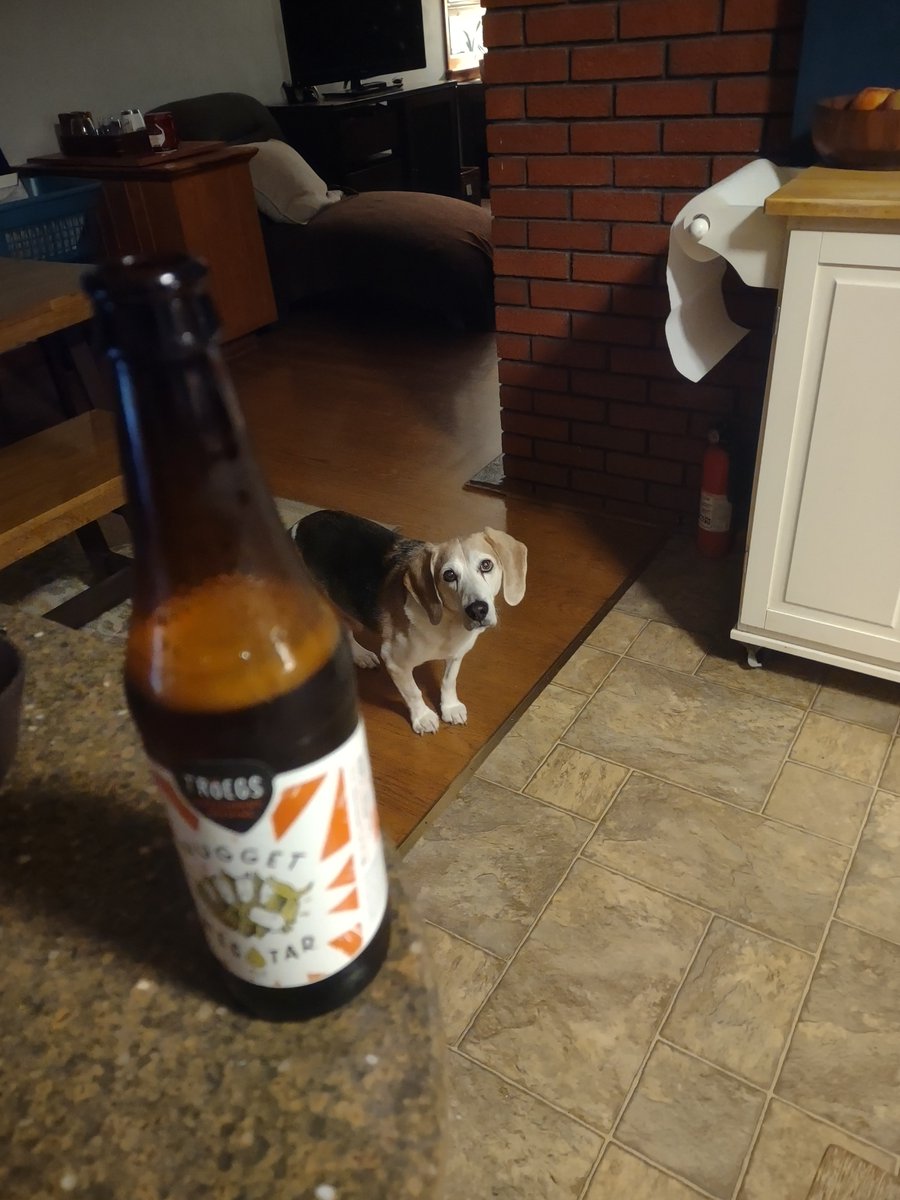 FargoCat's tweet image. @TroegsBeer #nuggetnectar #beagles