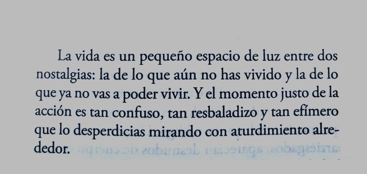 "La vida es un pequeño espacio de luz entre dos nostalgias: lo que aún no has vivido y lo que ya no vas a poder vivir. Y el momento justo de la acción es tan confuso, tan resbaladizo y tan efímero que lo desperdicias mirando con aturdimiento alrededor".
"La carne", Rosa Montero