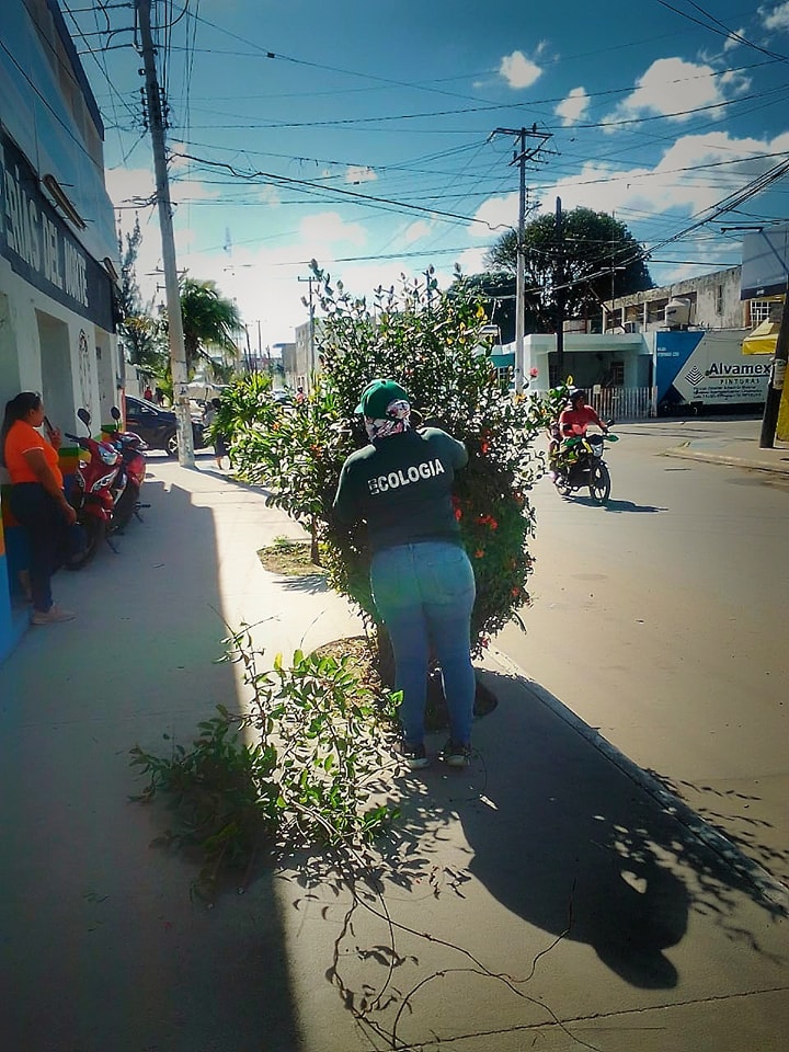 Julián Zacarías Curi tweet media