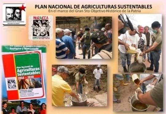 Prof. Simón Rendón Investigador de la Agroecología y Coord. Gral del MORAICCA durante la capacitación a  caficultores en zonas rurales apartadas en la elaboración de Sulfocalcico y Microorganismos Eficiente E.M #PazYConvivencia Sello de Garantía Agroecológica