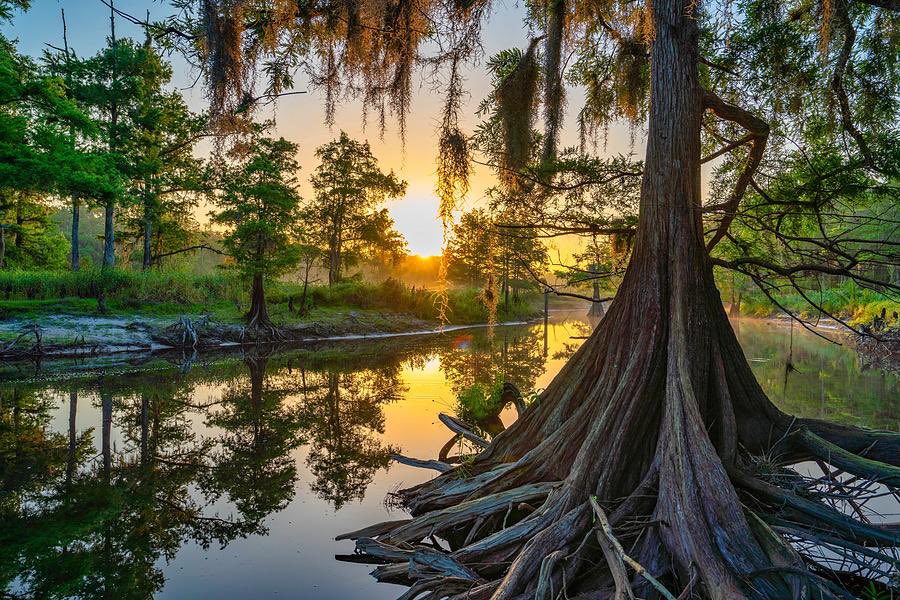 Fisheating Creek 🎣😁