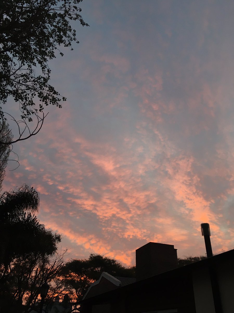 kati_ler's tweet photo. Regalen atardeceres. ✨ https://t.co/3HoDQODjV1