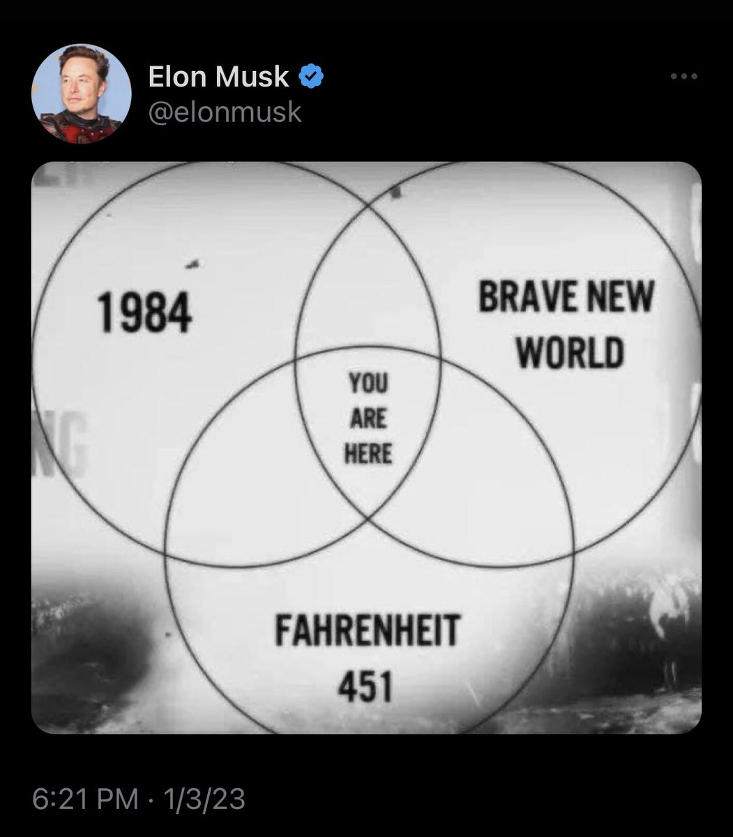 Tesla stock plummets again: this is just like three books I haven’t read
