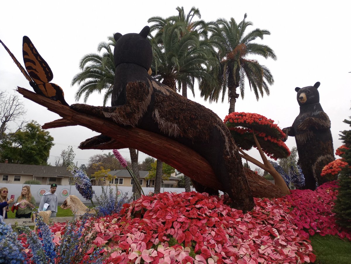 CONAMIGUANEWS's tweet photo. Se van las Rosas. Hoy último día de exhibición de las Carrozas del 2023, a las 5 pm se darán muchas de estas rosas y orquídeas a hospitales. Escuelas, Centros de rehabilitación iglesias etc #floatfest #RoseParade #DesfiledelasRosas
@KARLABASO @arelypayeras @ManuelArchila16 https://t.co/F5K3FrpC75