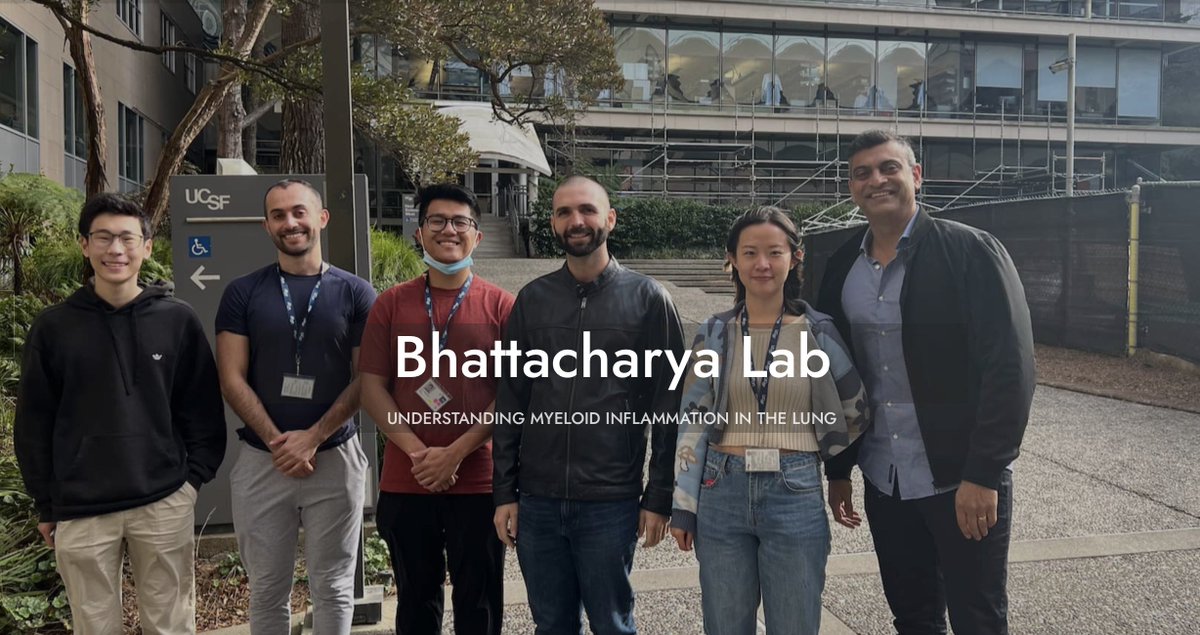 Interested in a postdoc in lung biology? My lab is hiring a postdoctoral fellow! Find us at bhattacharyalab.ucsf.edu or DM me. <a href="/UCSFMedicine/">UCSF School of Medicine</a> <a href="/ATS_RCMB/">ATS_RCMB</a> #Immunology #scRNAseq #Lung #postdocjobs #postdocposition
