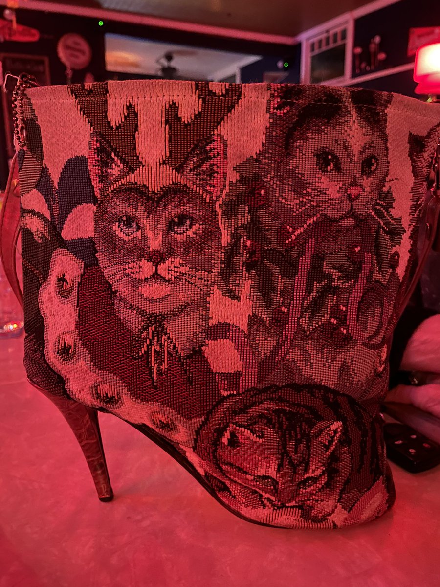 Liza Frank🏳️‍🌈 (@franklyliza) on Twitter photo 