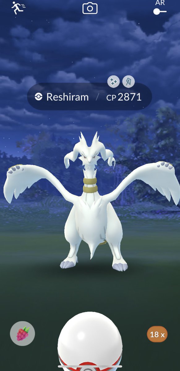 GrandMastaSwag's tweet photo. Got a shiny Reshiram!! 
#PokemonGO #ShinyPokemon https://t.co/JuZLJ0nC3K