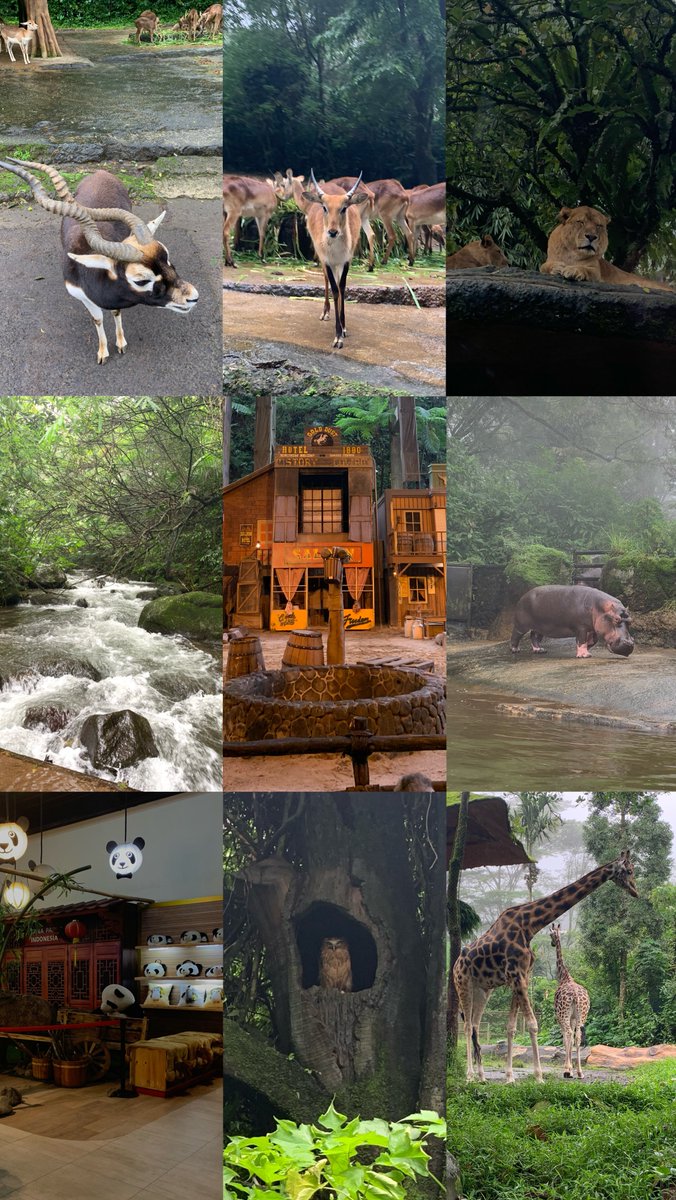Humairo_S's tweet photo. 11000 steps, masih banyak yang belum di explore 🥲 https://t.co/hujEn5xn48