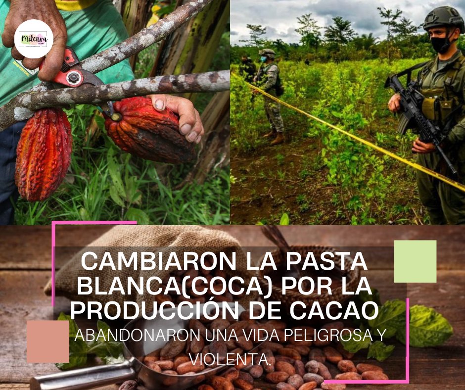 Milerva Ortiz tweet media