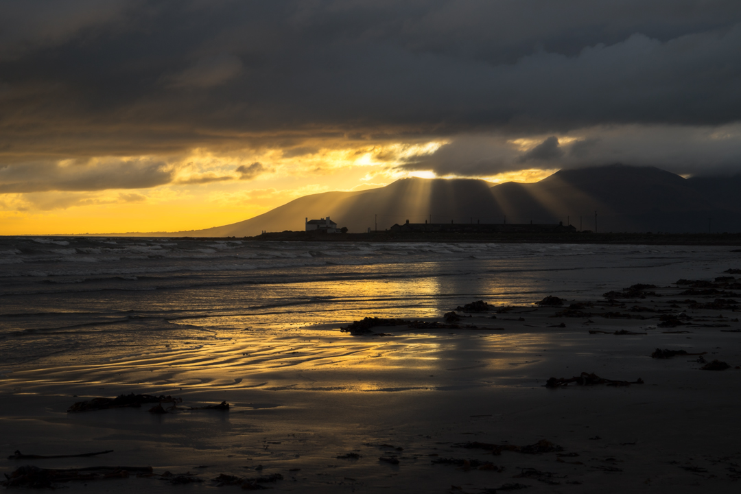 naomi_savage's tweet photo. A glorious sunset on Tyrella Beach
https://t.co/bHPwCoUi89
#canonuk #canon6dmarkii #canon24105 #landscapephotography #landscapecapture #explorelandscape #worldlandscape #sunsetphotography #sunsetphoto #tyrellabeach #beachcapture #purenorthernireland #embraceagiantspirit https://t.co/huhzZYT6LO