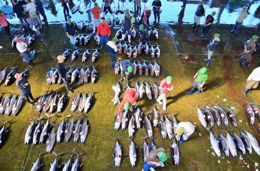 おはようございます1月5日木曜日です本日は魚河岸(うおがし)初競り「魚河岸」は、江戸時代から東京・日本橋付近の河岸に魚市場があった事に由来新年の初物として御祝儀相場が付けられ、2013年には青森県産のクロマグロが1匹1億5540万円で当時の史上最高値で競り落とされた今日も良い一日を 