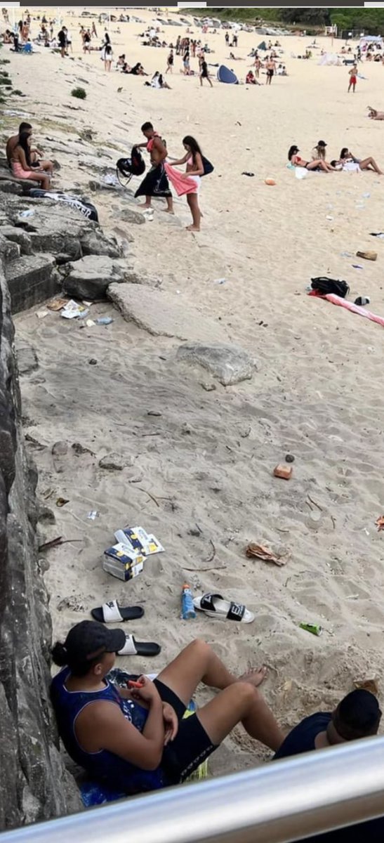 @Dom_Perrottet @RandwickCouncil encourage thousands of people to fireworks and our public spaces which in turn are trashed

People literally sitting in trash #Sydney #PublicSydney