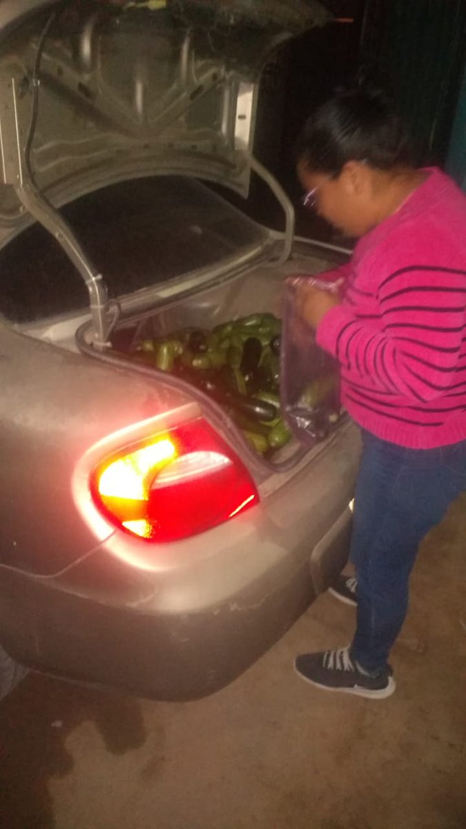 abrazandosonri1's tweet photo. Llegó donación de calabaza, pepinos de Asociación Impulso para continuar exelente apoyo para las madres en su hogar @MamaBuha @climahillo @CelidaLopezc @SoledadDurazo @ProyectoPuente @ManuelPueblaE @pupyherreramtz @tonygallard @ElRafaRamirez_ @ANTONIOCONHER @DavidFigueroaO https://t.co/7n4Adr0Rgl