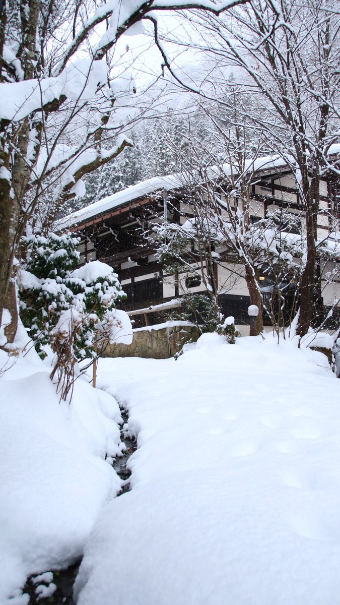 Yumoto_Choza's tweet photo. #奥飛騨温泉郷 #福地温泉 #hidatakayama #囲炉裏 #新穂高 #白川郷 #信州 #上高地 #露天風呂の貸切 #源泉温泉 #貸切の露天風呂 #今だけ #隠れ宿 #takayamagram #onlynow #似合うかなぁ #わた雪 #雫の湯 #郷心 #里山の湯 #湯元長座 #一度入りたい温泉 #古民家と温泉 #憧れの温泉 #j4 #雪の日 https://t.co/jJGNj9neGt