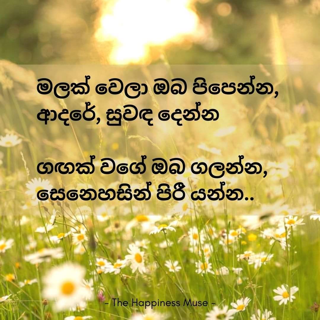 HappinessMuseLK's tweet photo. ඔයා සිනහ වෙන්න, කාරුණික වෙන්න, ලොවටම සුවඳ හමන මලක් වෙන්න..
ආත්මාර්ථයෙන් ඈත්ව පරාර්ථකාමී උන දාට, ඔයාගේ ජීවිතයත් ලස්සන වේවි ☺️

පද රචනය - කුමාරදාස සපුතන්ත්‍රී 
සංගීතය - රෝහණ වීරසිංහ 
ගයනය - සුනිල් එදිරිසිංහ 
#sinhala #song #motivation #lka https://t.co/QIz8aeRvTH