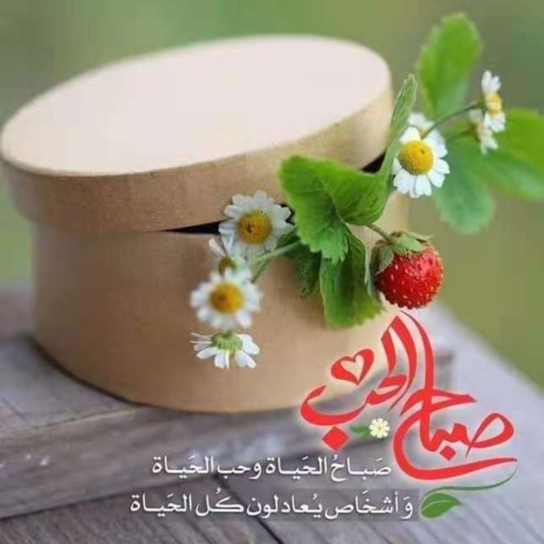 <a href="/Fk_2016/">♡هدوء الليل♡</a>