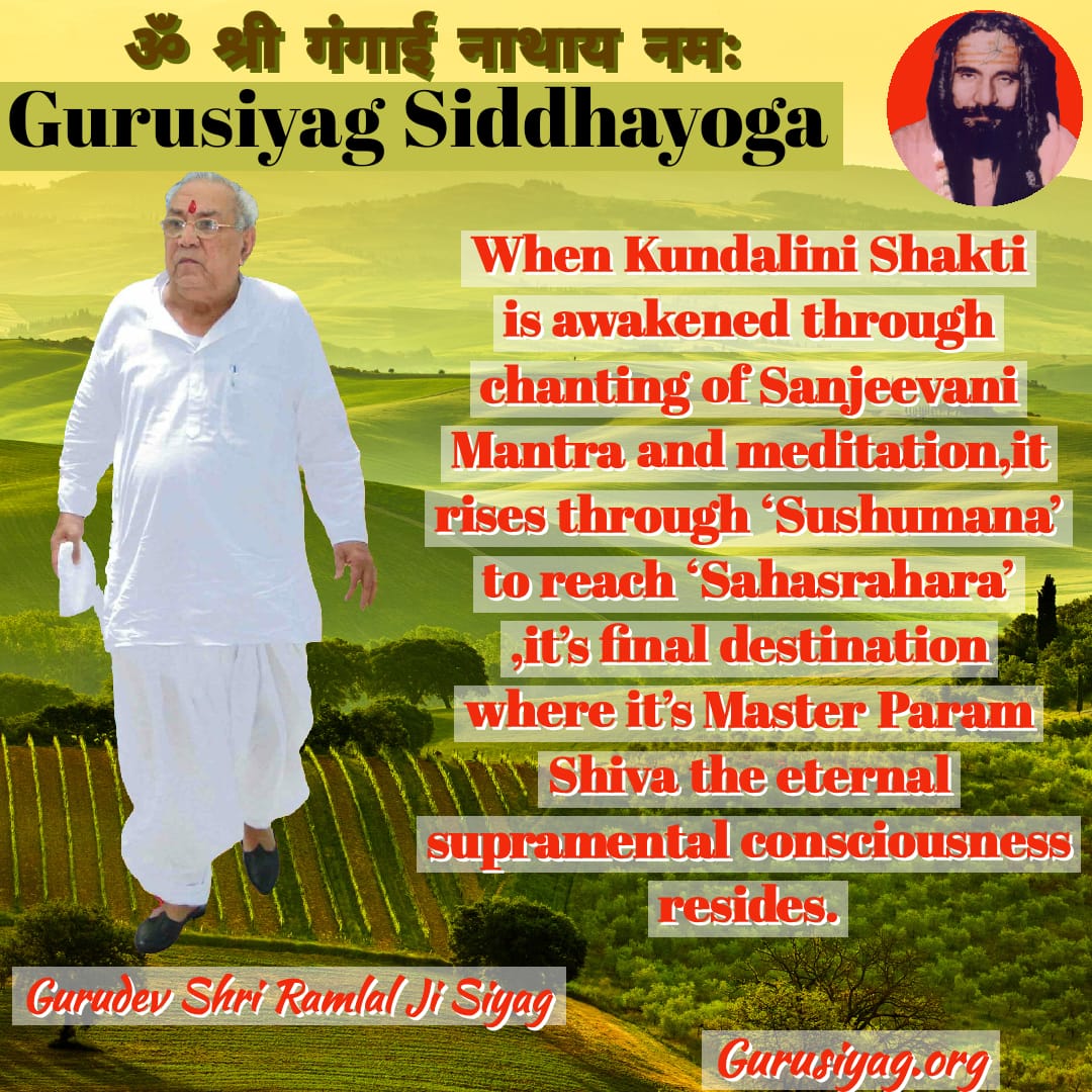 Thakur5786's tweet photo. Join New Gurudev Siyag SiddhYoga for better life.#Dementia #music #art #NFTs #lifestyle #Meditation #nature #Cricket #animation #247wowom #love #life #French #Sudan #MerryChristmas #USA #football #English #African #Jesus
#YogaCuresCovid19 #Dutch #TopResolution2023 https://t.co/wY09zhJj0X