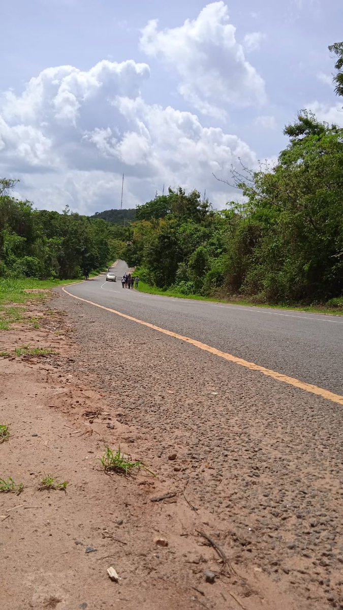 AORMagis's tweet photo. “ The road less traveled is sometimes fraught with barricades bumps and uncharted terrain. But it is on that road where your character is truly tested And have the courage to accept that you’re not perfect nothing is and no one is ,and that’s OK.” ~ Katie Couric
#pilgrimage https://t.co/7JhFT1qSzm