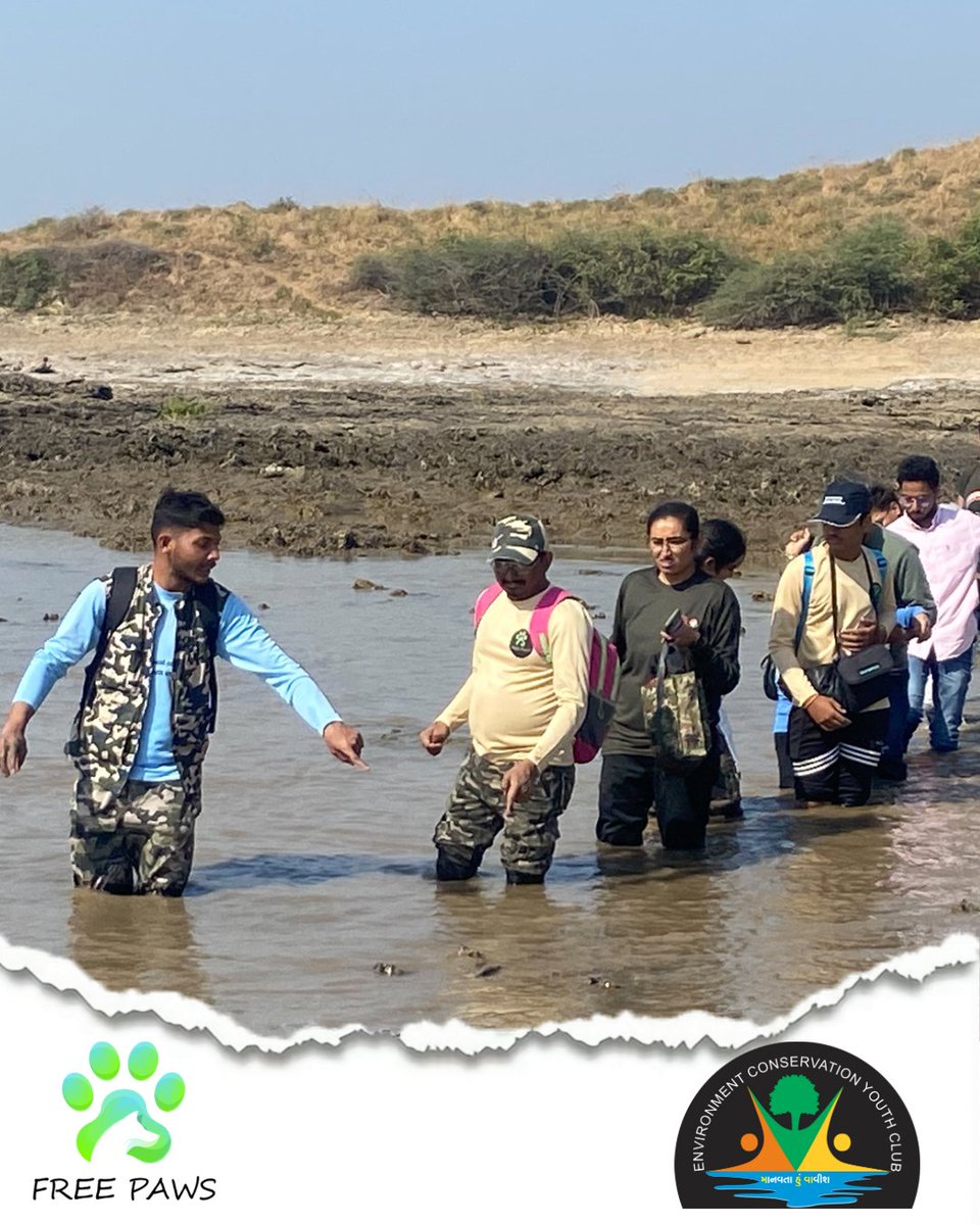 MansiThakar6's tweet photo. The @EcycMahuva & #FreePaws team started 2023 with an eco trail at magnificent #Doliya & did beach cleanup to protect the beauty of Doliya Beach. #PlsticFree2023
#TurnTheTide
@ShwetalPShah @moefcc @andersen_inger @YuWaahIndia
@UNEP @Mulubhai_Bera @thebetterindia @byadavbjp https://t.co/rRQ66b1fqW