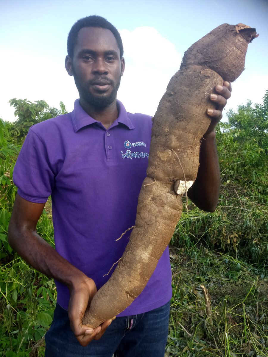 Youth inclusivity is crucial for developing economies to reap the dividends of agriculture at an optimal level. 
📸: <a href="/EletaValentine/">The Rainmaker ⛈️</a> 

#agriculture #farmers #food #foodsecurity #blockchain #DeFi #btc #bnb #Polygon #near #MUFC #twitch