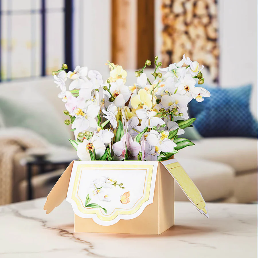 Giftgoloffical's tweet photo. Turn on the lights and see the Orchids Pop-Up Flowers Card, the house becomes a home.🥰❤️
#homedecor #papercut #giftgol #flowerboxcard #boxcard #popupcard #handmadegifts #popupcards #loveyou #orchids #mothersdaygift #ValentinesDayGift https://t.co/knHwXmmu4Y