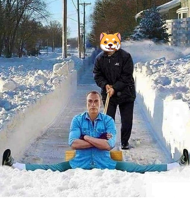 Cashflow Money Inu tweet media