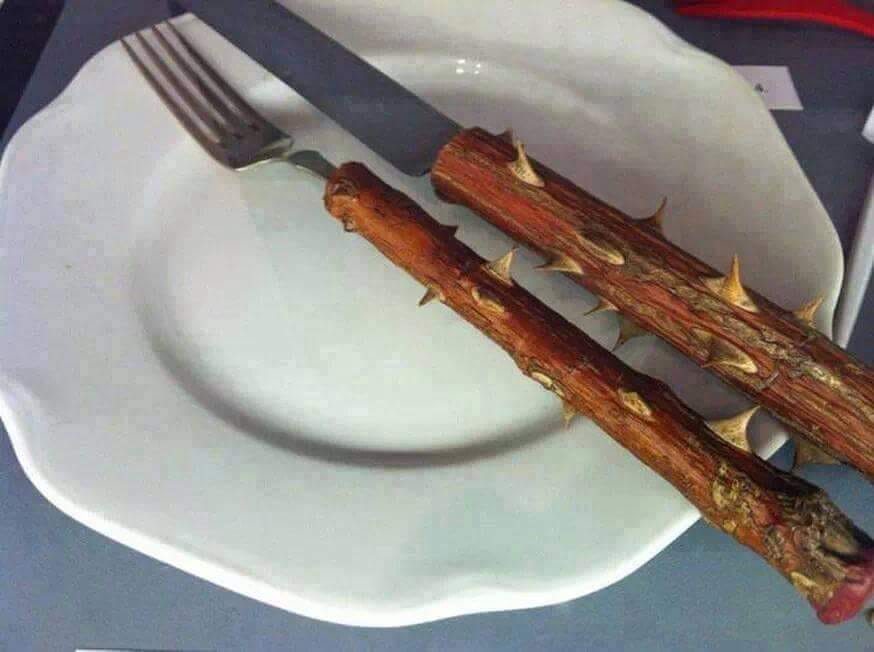 BraaiBoy's tweet photo. Need some help with your "I'm going on a diet" New Year's resolution?
#HeeltydSpeeltyd #LetsMeat https://t.co/XrIlthlvB1