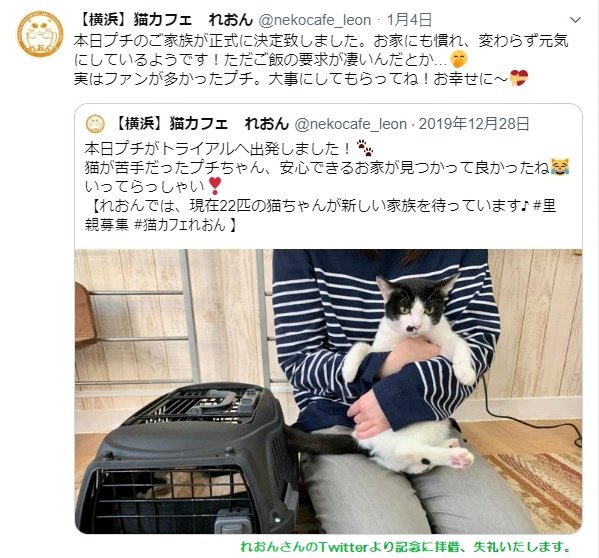 pm20:00 tweet media