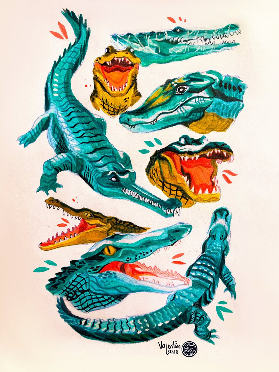 valentino_lasso's tweet photo. Reptilia • 🐊🦎🐍 https://t.co/621i8S7MJz