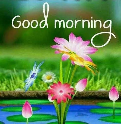 May God fill your life with all of his blessings so that you never run out of reasons to be happy. 

Good morning everyone!🌷🌻🌼

Have a happy Wednesday!😊

<a href="/KissesDelavin/">Kisses Delavin</a>
#KissesDelavin