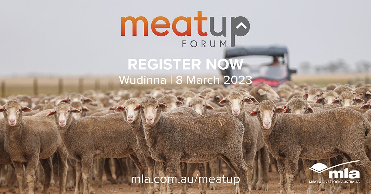 Registrations are open for the <a href="/meatlivestock/">Meat & Livestock Australia</a> Wudinna MeatUp Forum being held Wed 8 March 2023. The newly released program outlines industry &amp; producer speakers, plus a virtual farm tour. More info: bit.ly/3Wujn5k
#MeatUp Forums are an initiative of MLA delivered by us.