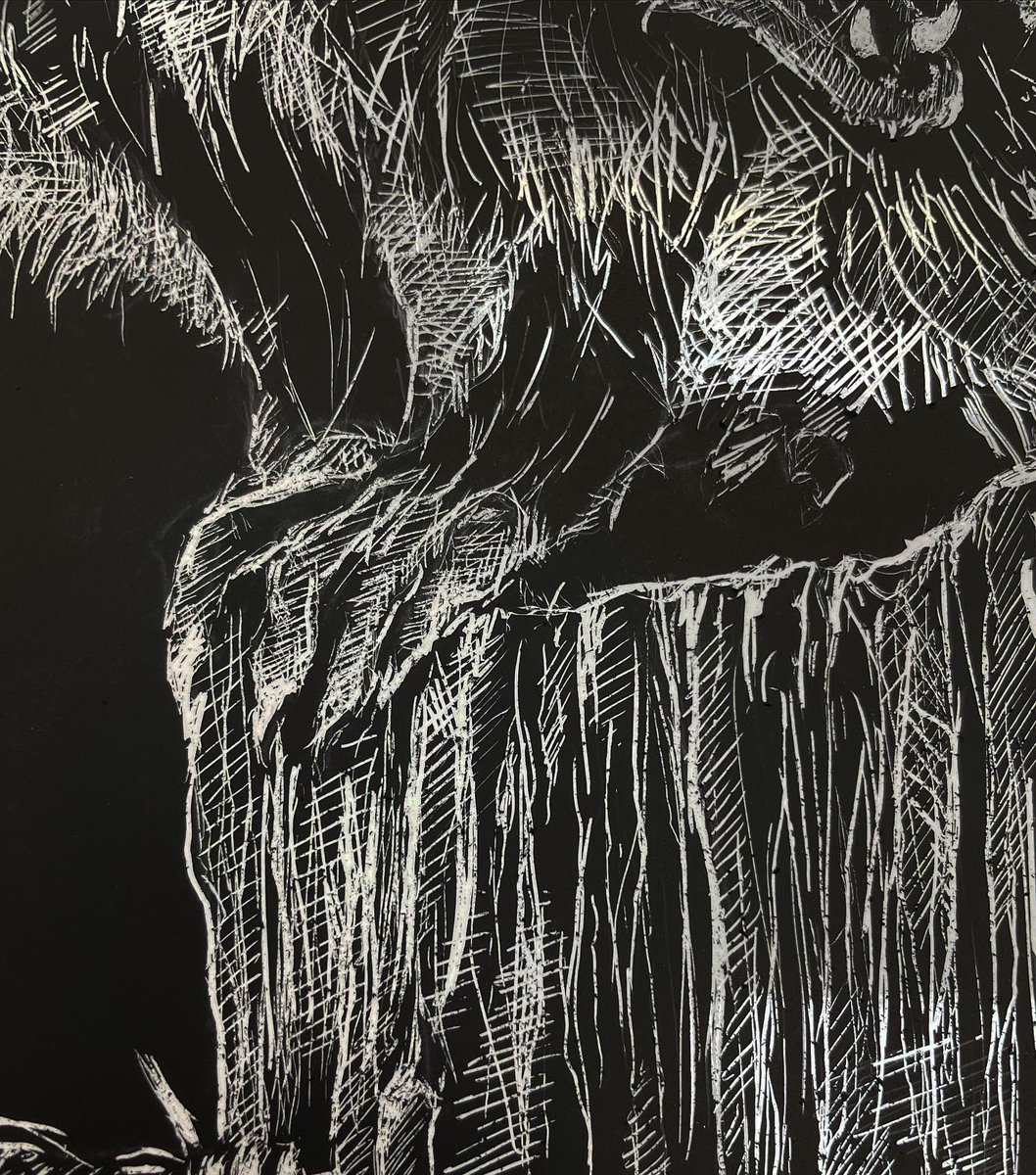 leadhanded's tweet image. he’s such a little guy. #scratchboard #scratchboardart #scratchboarddrawing #opossum #possum