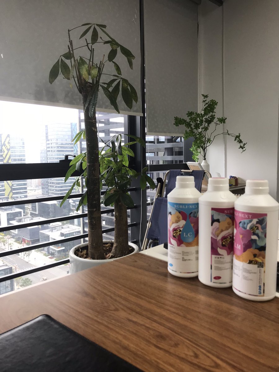 ZouLily's tweet photo. Our company is full of green plants, and looking at them at work can relieve fatigue.#work #dtfprinting #sublimationprinting https://t.co/uPQIWgv8UC