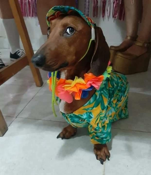 A Bolti lo invitaron a una fiesta de disfraces