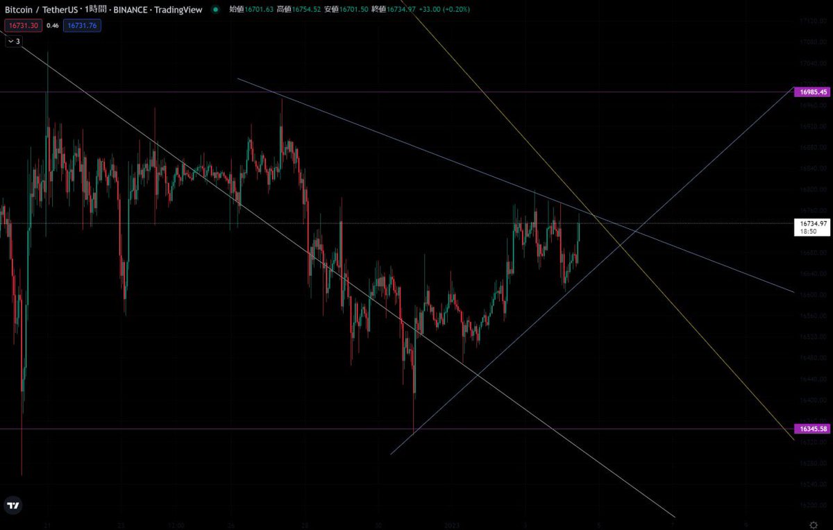 Crypto_King444's tweet photo. 【大注目】

新年一発目のトレードで負けたくない人はついてきて

激アツすぎるポイント
一発100万円の利益は余裕です

ロング？ショート？
ビットコインの神に取り憑かれてる
僕に任せなさい

#Bitcoin https://t.co/hxbULKv1x3