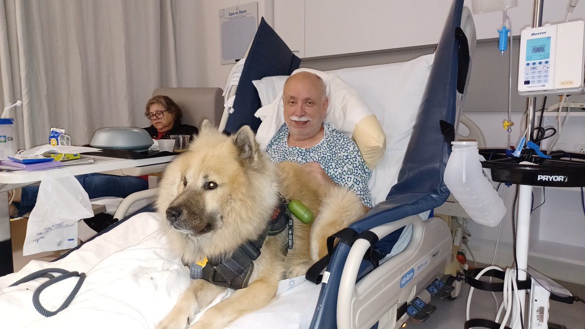 ExqEurasiers's tweet photo. https://t.co/kgH36uRWPv
https://t.co/VPmcXkBG72
#PuppyCam #EurasierCam #Eurasier #Eurasiers
#EurasierPuppy #EurasierPuppies
#ExqEurasiers #PuppyKisses
#PuppyCuddle #CompanionDog #ServiceDog
#EurasierServiceDog https://t.co/bjZonTRAb5