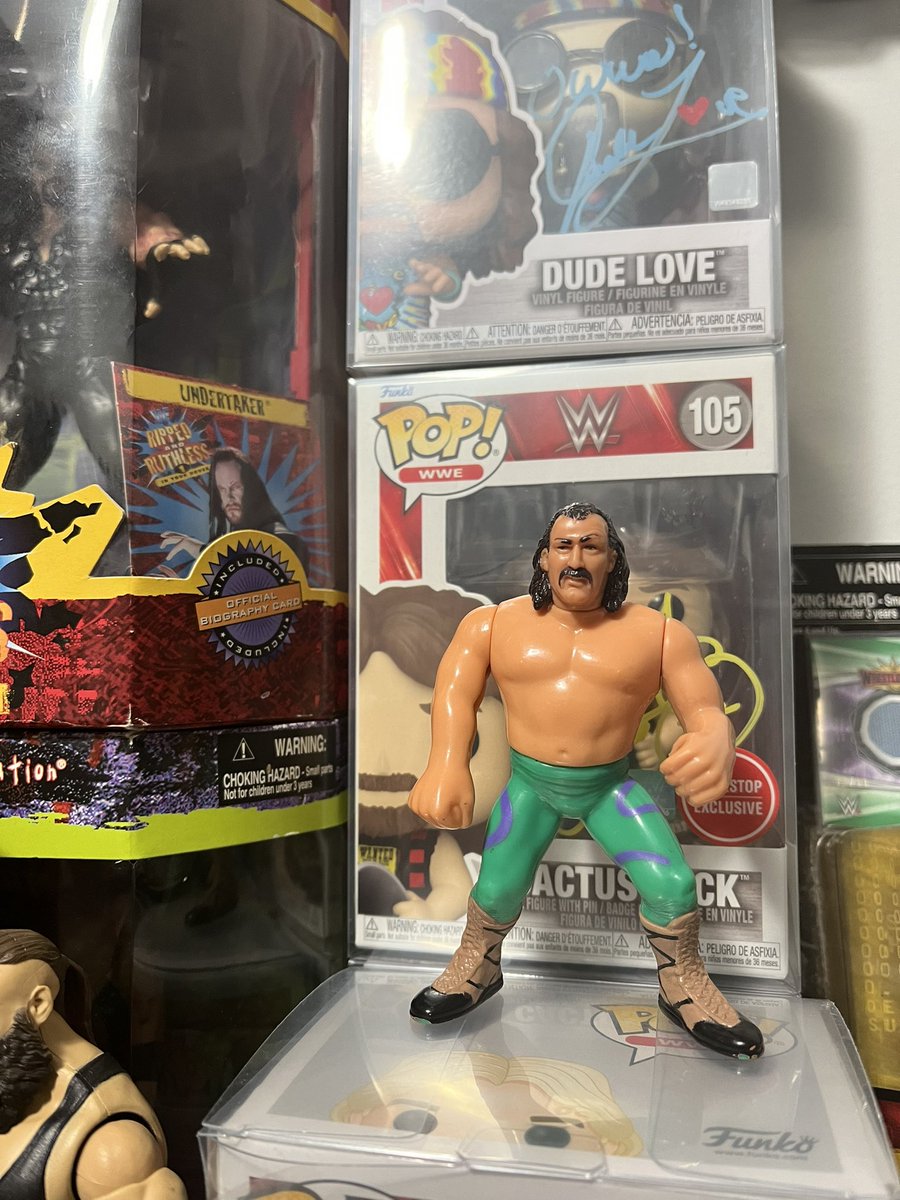 Does anyone know where I can buy Damien? I can’t find Jake’s snake anywhere. @WWE #vintagetoys #VintageWWE #toycollector #WWFHasbro