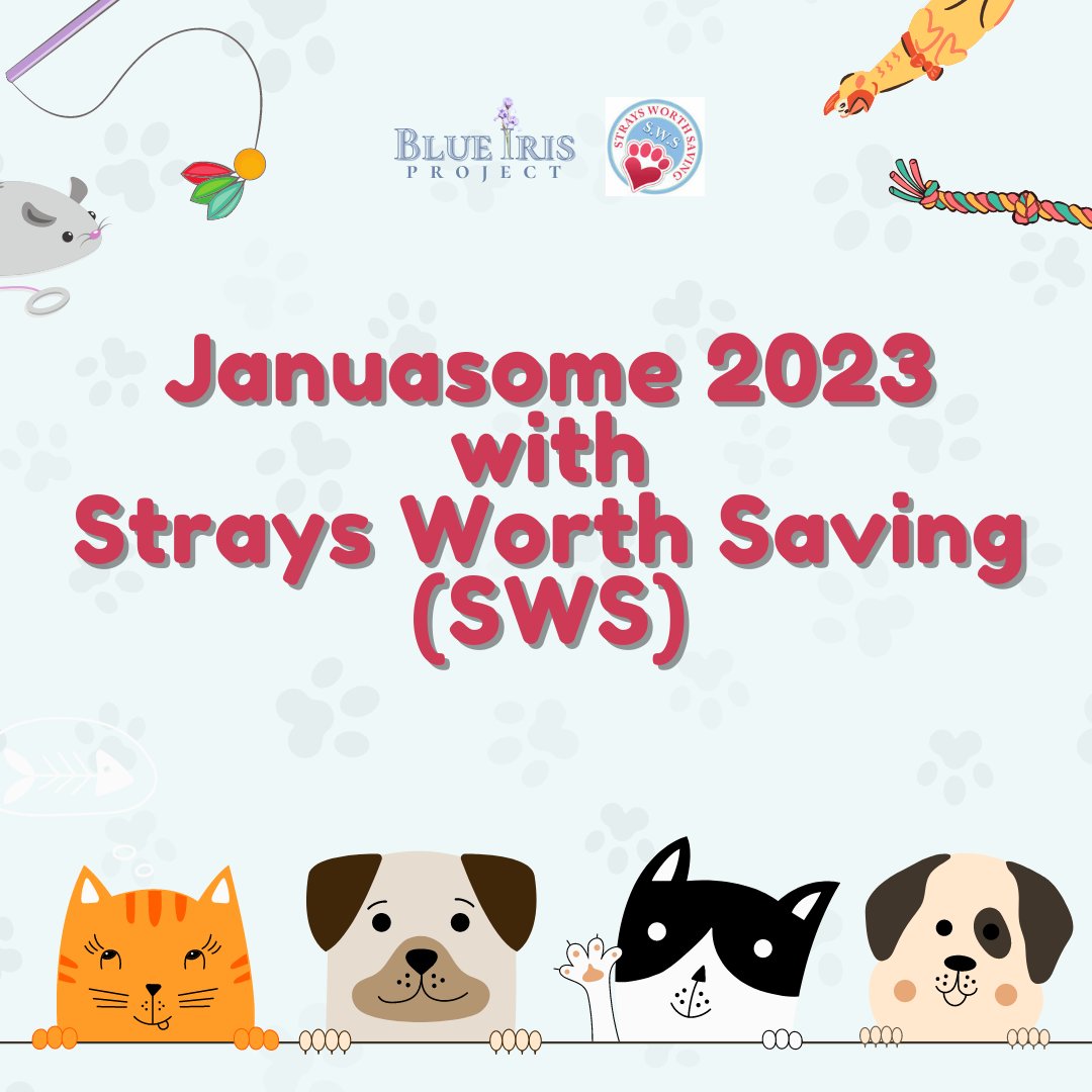 blueiris2022's tweet photo. Here's an introduction to our January beneficiary!

#BlueIrisProject 
#StraysWorthSaving
#sungjinuary2023 https://t.co/dHibYX2FNt