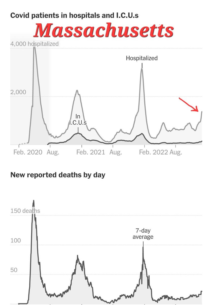 JWeiland tweet media