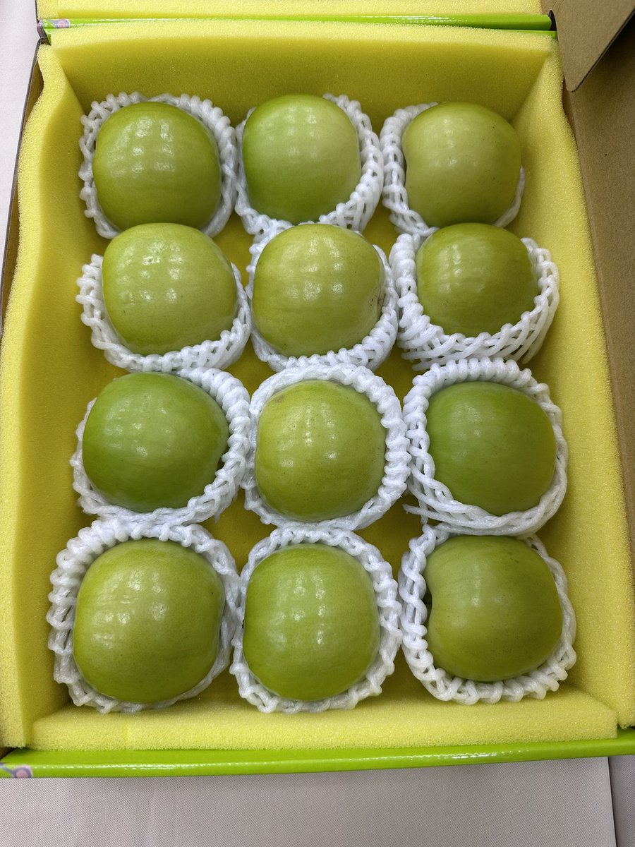 ChangLanyen's tweet photo. Indian jujube competition….77 sets to taste test😳🥲 https://t.co/d1aBIPn1X2